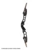 Hoyt Satori Traditional 21" ILF Recurve Riser